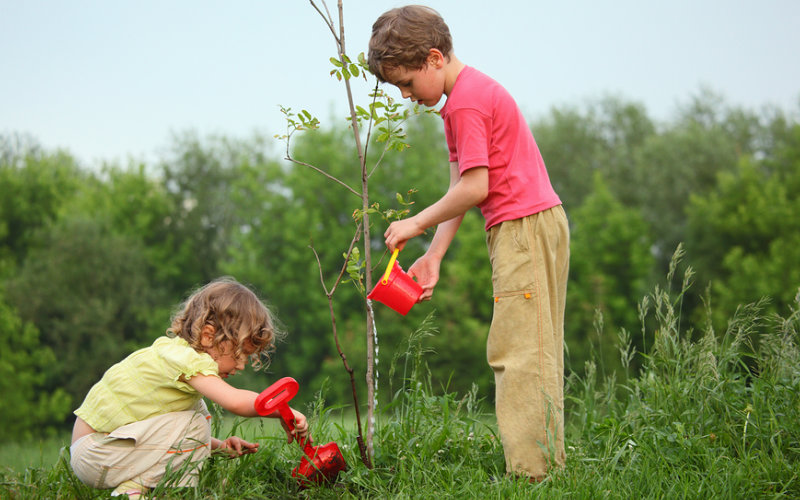 Дбайливе ставлення до природи by Ira Moroz - Ourboox.com