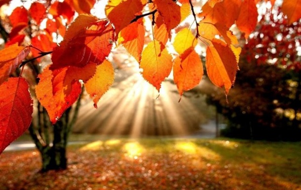 Подорож в осінь by Kirsan Violetta - Ourboox.com