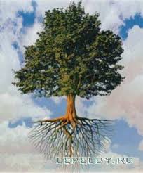 Dreams Have No Gender by Lina Kalliontzi - Illustrated by eTwinners - Ourboox.com