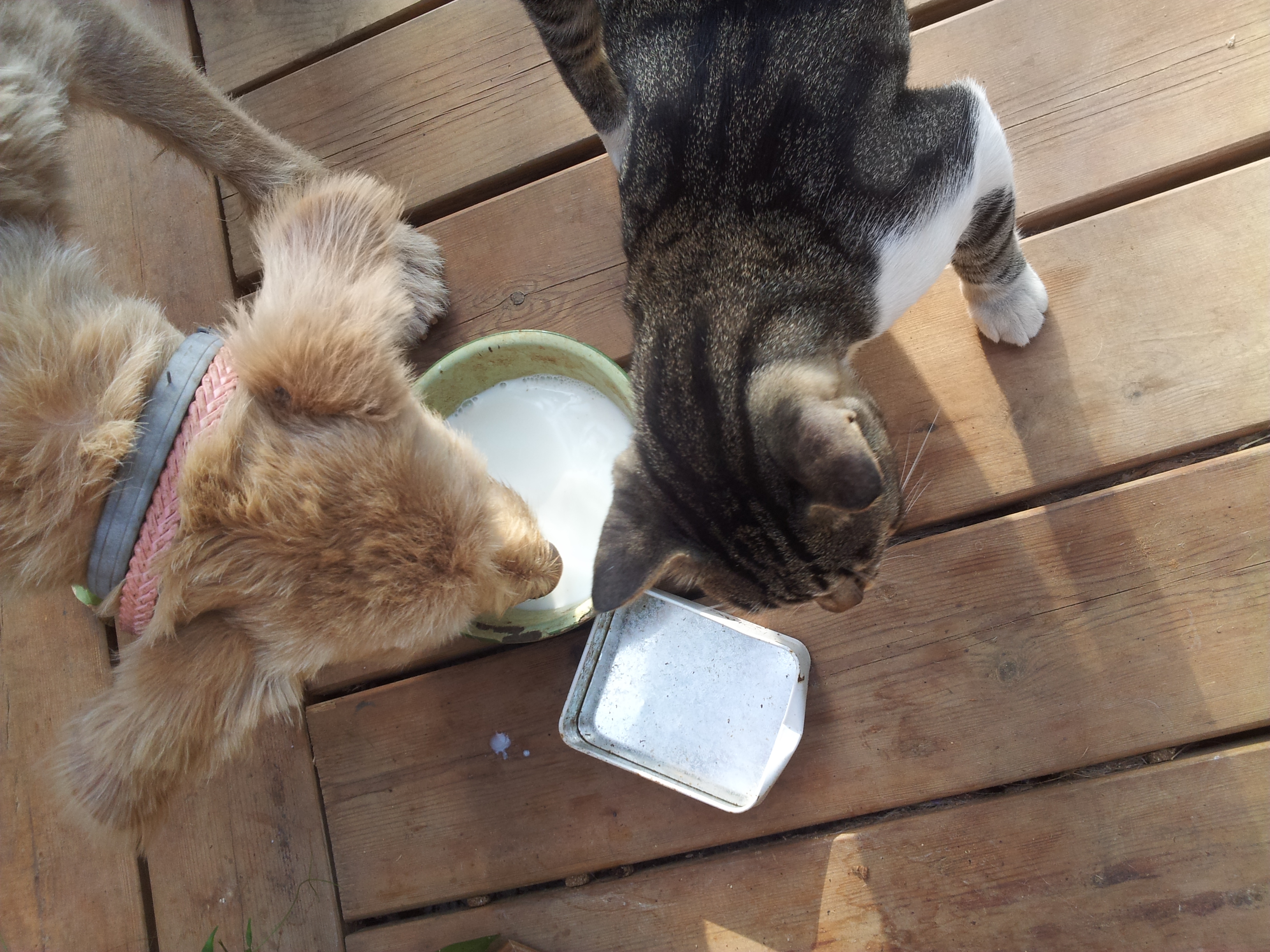 הספר של ט by th - Ourboox.com