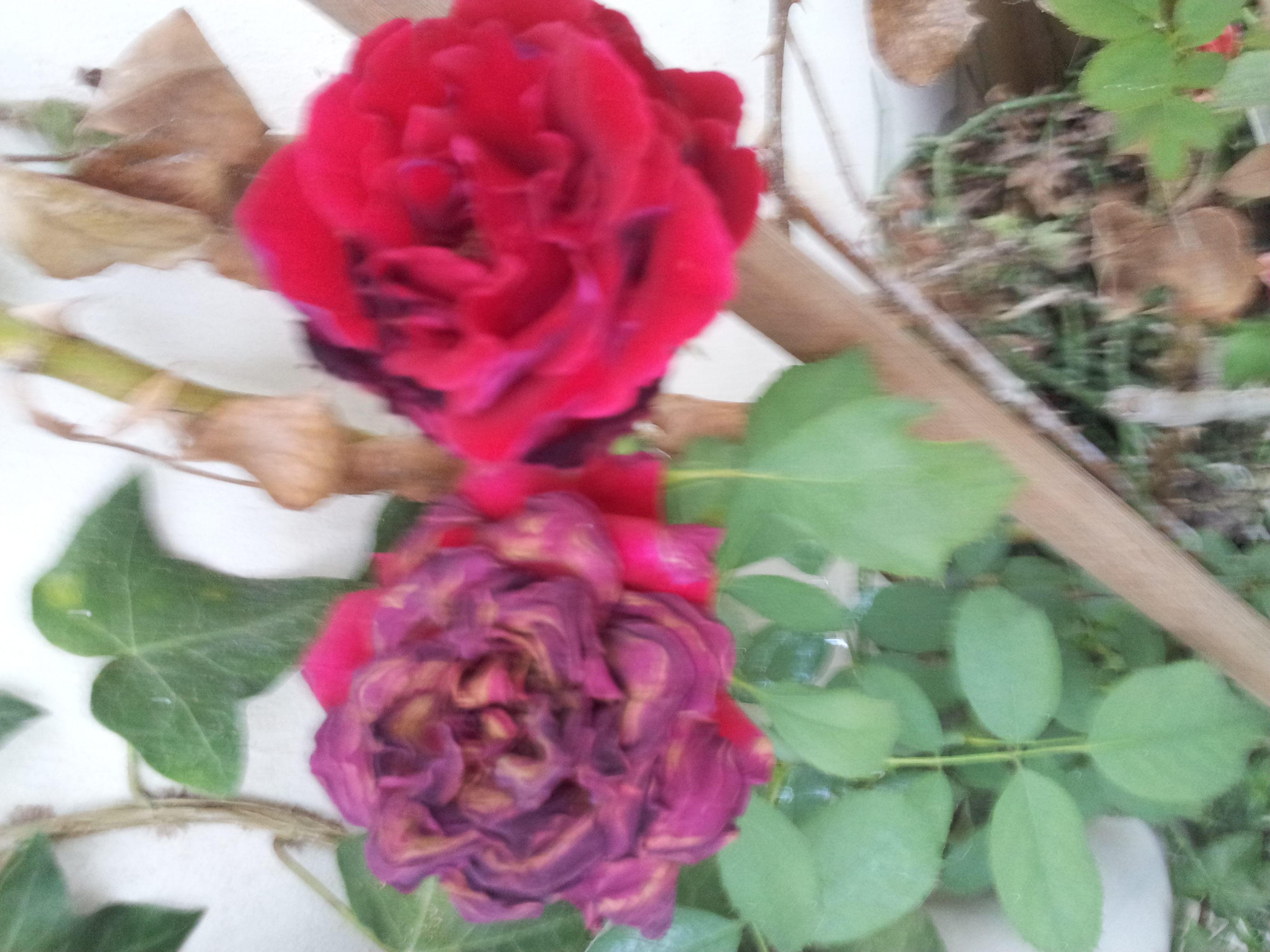 הספר של ט by th - Ourboox.com