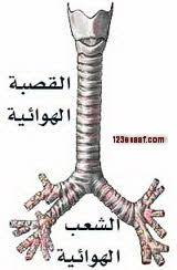 الجهاز التنفسي by fatoom - Ourboox.com