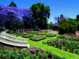 Hyde Park by Lia Bar-Or - Illustrated by Lia Bar-Or and Maya Weber - Ourboox.com