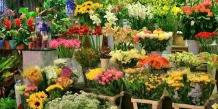 פרחים by rony - Ourboox.com