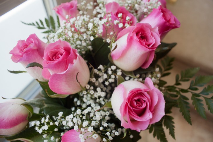 הפרחים שלי by linoy - Ourboox.com