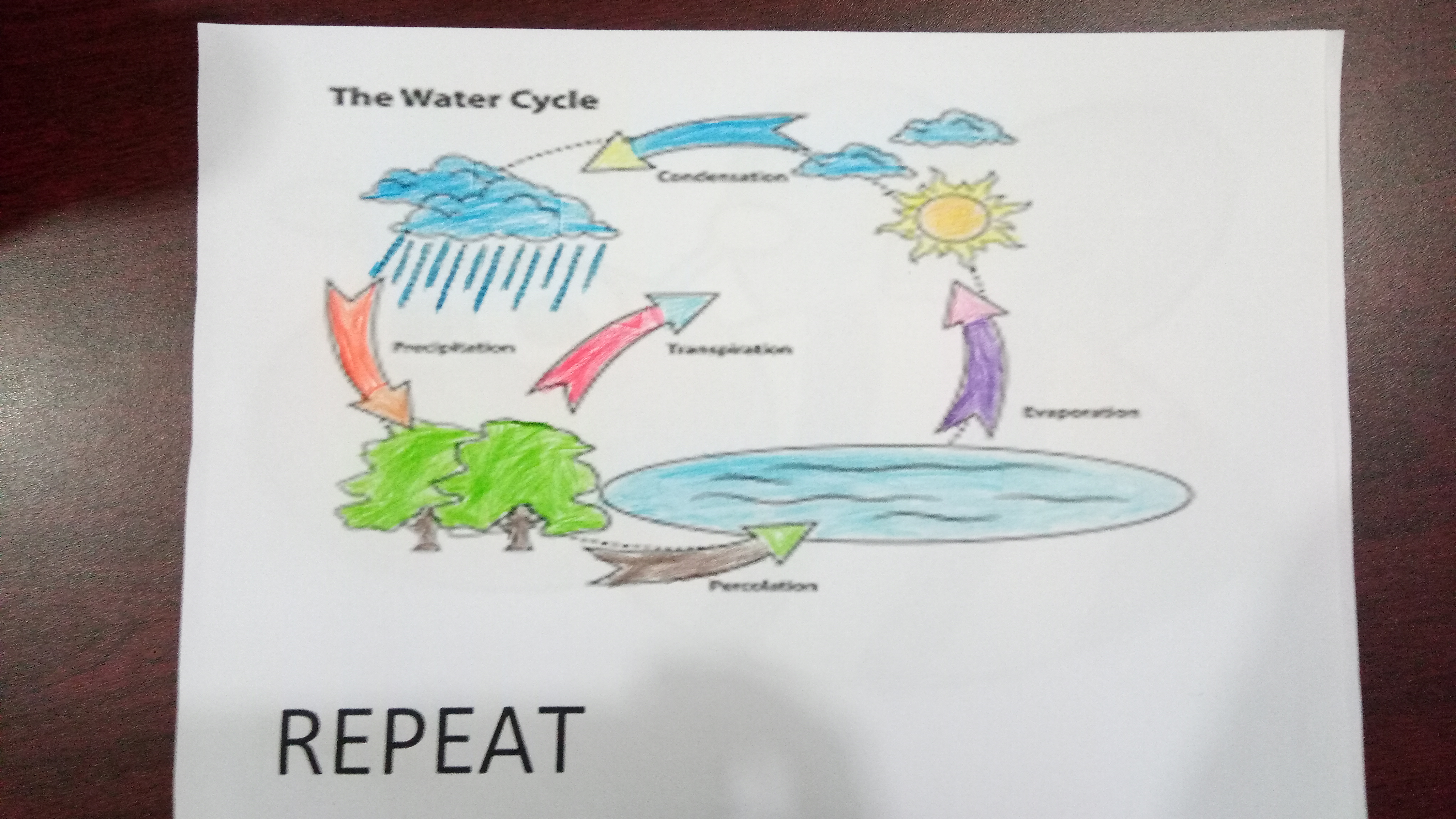 WE ARE CODING by gunesbalamut - Illustrated by GÜNEŞ BALAMUT - Ourboox.com