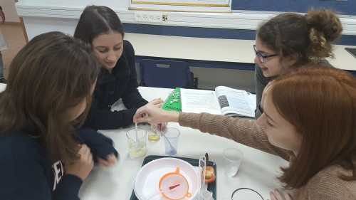 דף חודשי 2 תשע”ח יוענה by rachel barkan - Illustrated by אוה, ג'סיקה, גיא - Ourboox.com