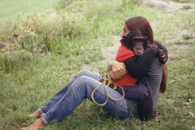 LI,LO,LA E E SCIMMIE by S.A.M.  - Ourboox.com