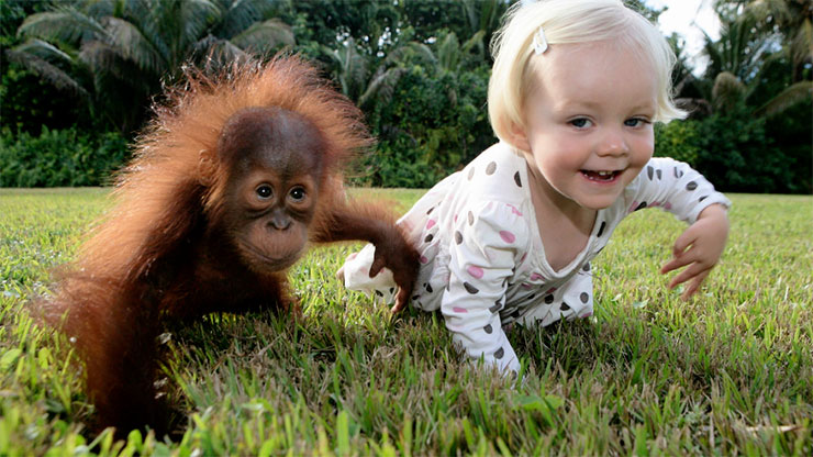 LI,LO,LA E E SCIMMIE by S.A.M.  - Ourboox.com