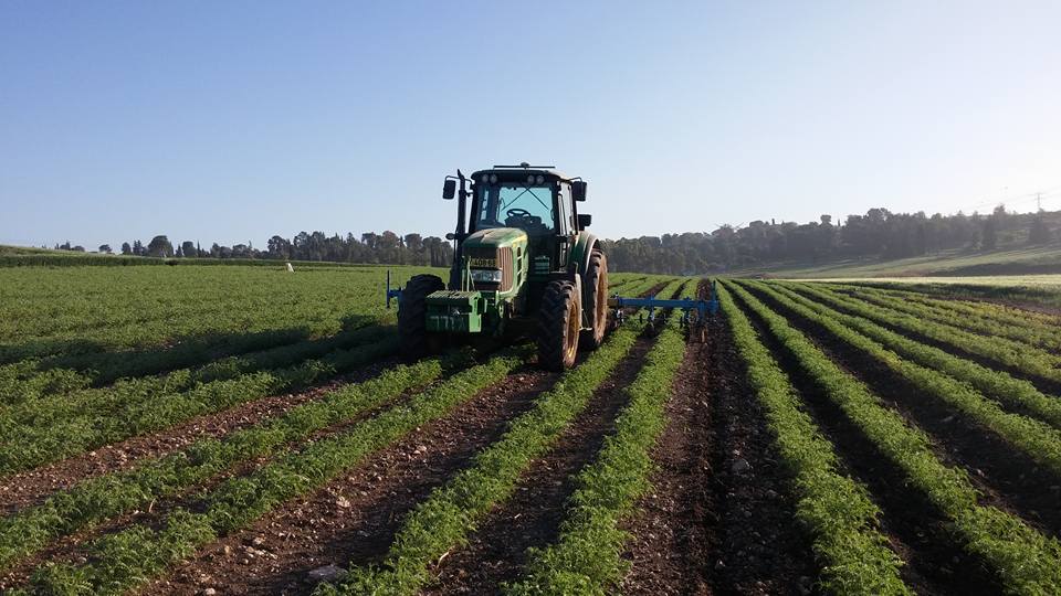 ספר השירים והלחנים של טולי דביר / tuli dvir by edna cohen - עדנה כהן - Illustrated by עדנה כהן edna cohen - Ourboox.com