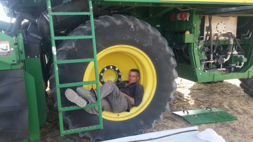 ספר השירים והלחנים של טולי דביר / tuli dvir by edna cohen - עדנה כהן - Illustrated by עדנה כהן edna cohen - Ourboox.com