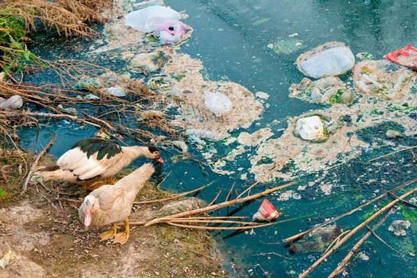 Экология иркутской области by Dmitro - Ourboox.com