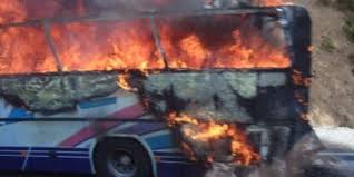 מכירים מסתבכים וכמעט מתים by or levi and koren eilat - Illustrated by אור לוי הגבר וקורן אילת הגברבר - Ourboox.com