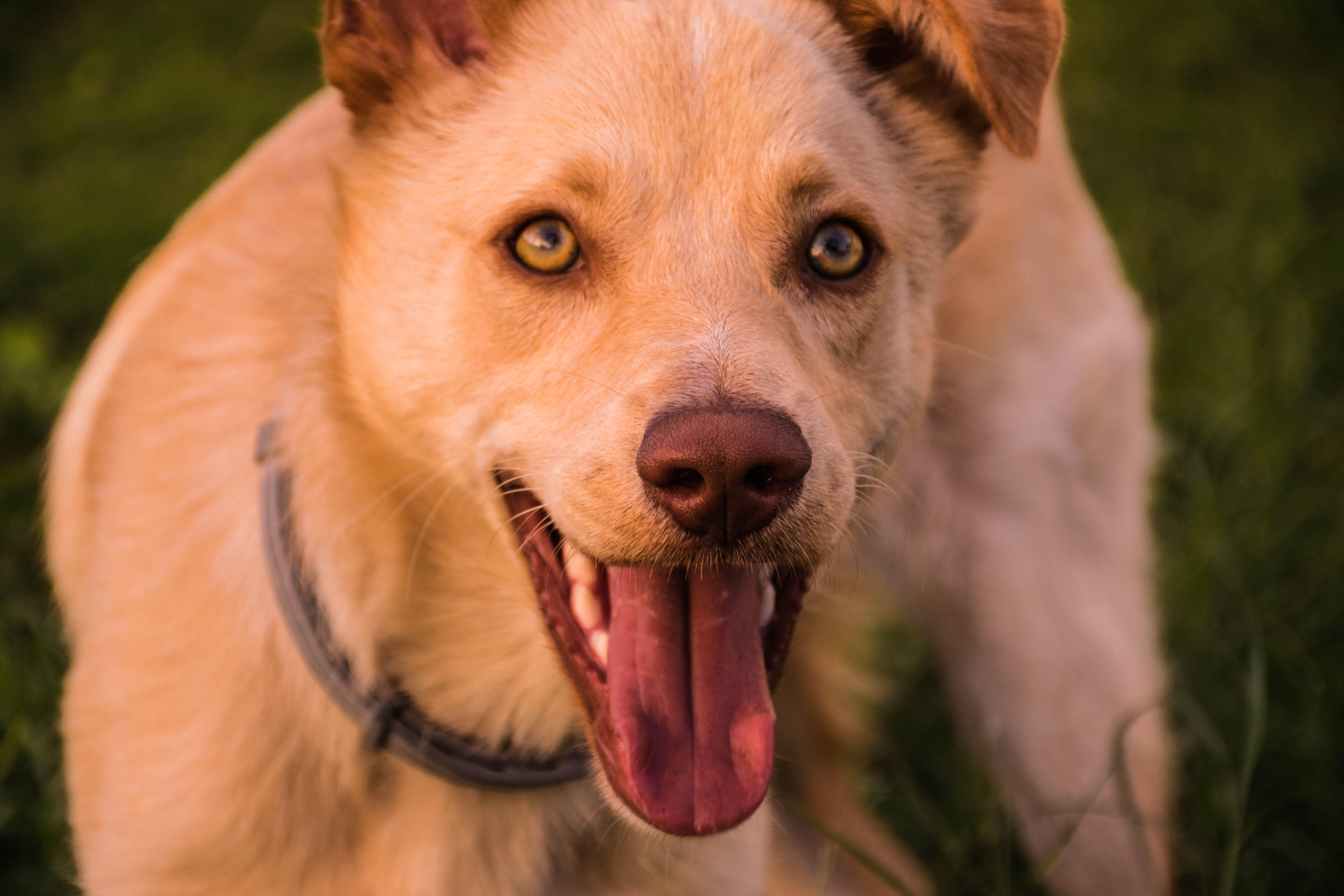 MY LOVE by ateret galili - Ourboox.com