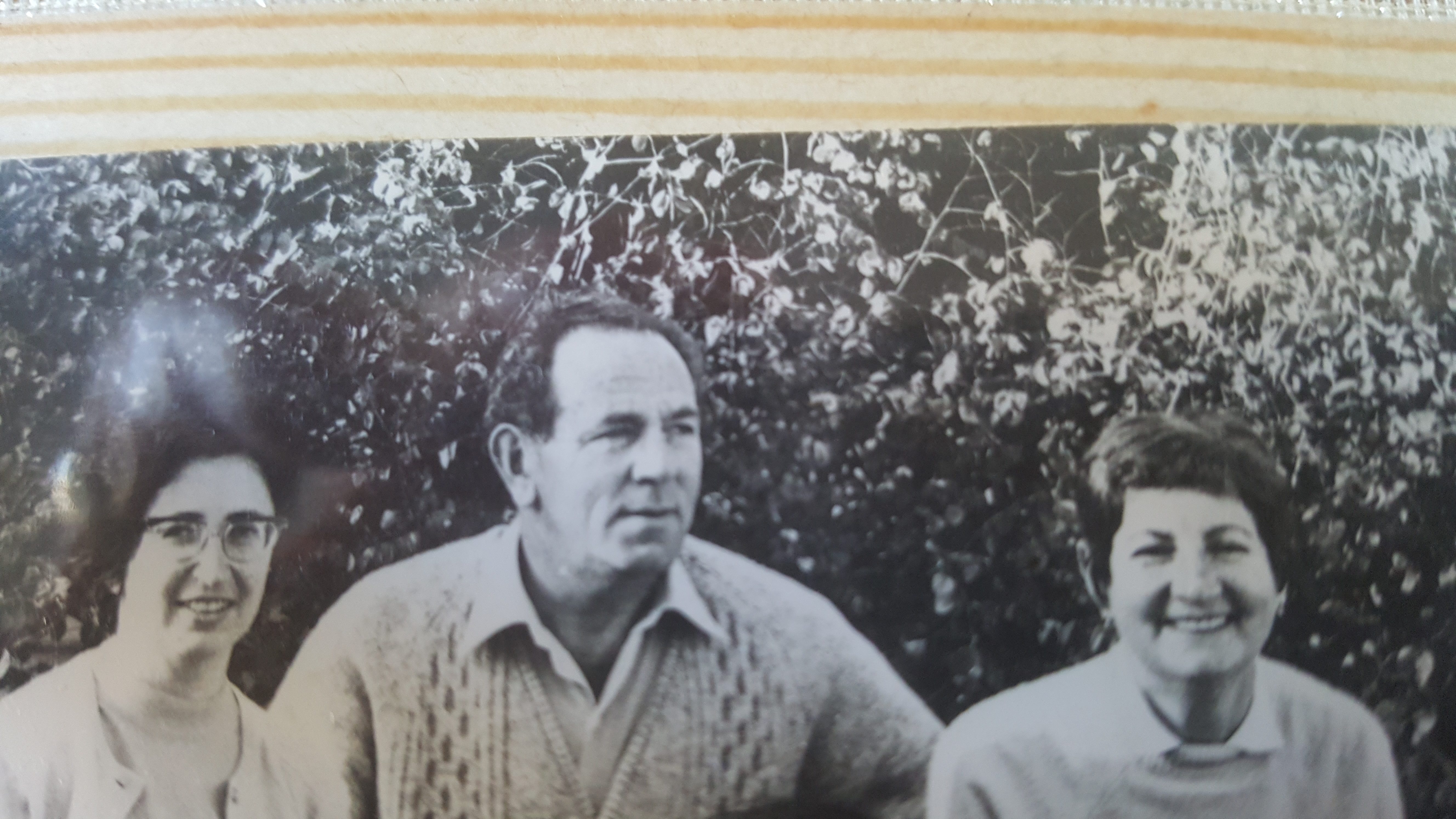 נעמי – אלבום העלייה של משה פיש by hovav - Ourboox.com