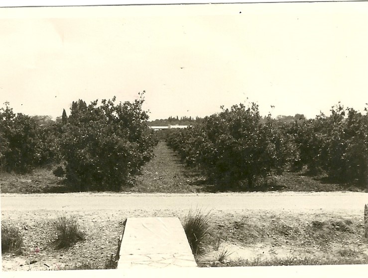 המדרכה המובילה לבית של סבא וסבתא רחוב הנחלים שעדיין לא היו מדרכות