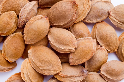 המשחק בגוגואים היה די פשוט: כל המשחקים נעמדים מול קיר, כל אחד זורק בתורו גלעין אחד, זה שמגיע הכי קרוב לקיר לוקח את כל שאר הגוגואים. קראו למשחק הזה "קרוב לקיר". היו גם משחקים נוספים עם גוגואים, כמו "חור בחול": היו עושים חור בחול ונעמדים במרחק מה מהחור וכל אחד זורק בתורו גרעין משמש אחד, זה שהצליח להכניס את הגרעין שלו לחור זוכה בכל שאר הגוגואים. משחק אחר: מניחים כוס קרוב לדלת, מי שהיה מצליח לזרוק את העג