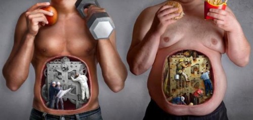 جسم الانسان الداخلي by tasneem samman - Ourboox.com