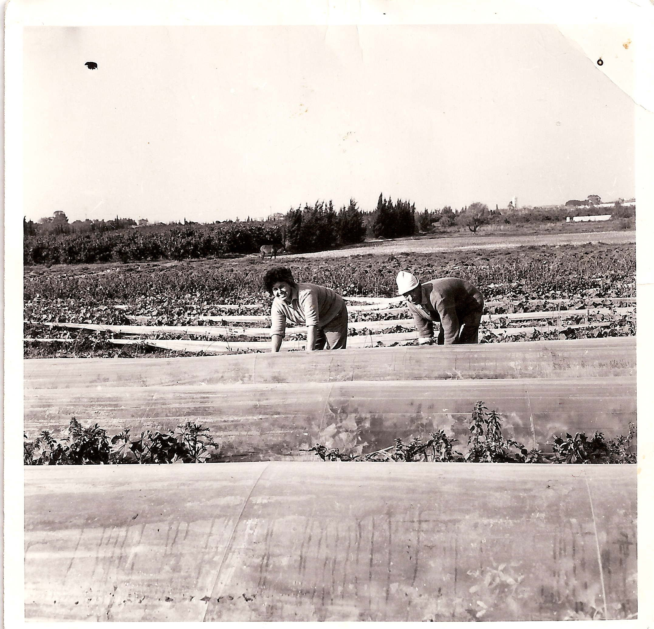 איתי לב סיפור עלייה by hovav - Ourboox.com