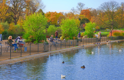 London by maya gonen - Ourboox.com