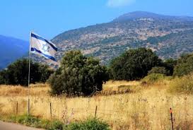 קְטַנּוֹת וּטְעִימוֹת – עַגְבָנִיּוֹת שֶׁרִי by emuna greenberg - Illustrated by   