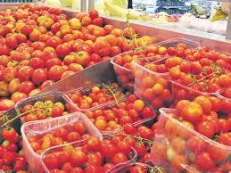 קְטַנּוֹת וּטְעִימוֹת – עַגְבָנִיּוֹת שֶׁרִי by emuna greenberg - Illustrated by   