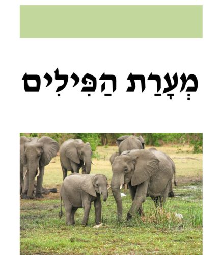 מערת הפילים by talya amusi - Illustrated by טליה עמוסי - Ourboox.com