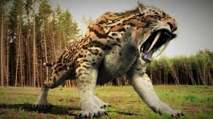 NESLİ TÜKENDİĞİ İÇİN ŞANSLI OLDUĞUMUZ 10 HAYVAN by Miray - Ourboox.com