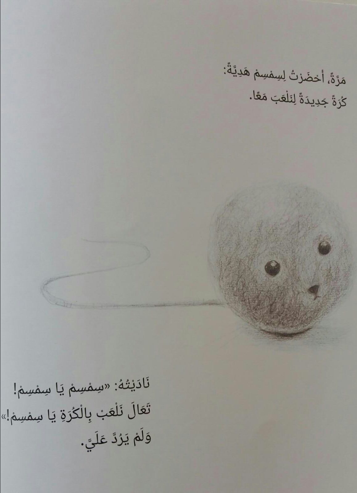 سِمسِم by khetam - Illustrated by khetam+ekhlas+laila+fatima+nariman+ahlam - Ourboox.com