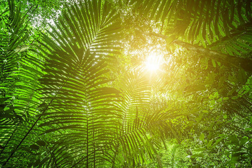 פעילויות לגיבוש צוות by ymama - Illustrated by ימאמה ראבח - Ourboox.com