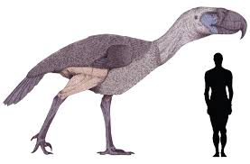 NESLİ TÜKENDİĞİ İÇİN ŞANSLI OLDUĞUMUZ 10 HAYVAN by Miray - Ourboox.com