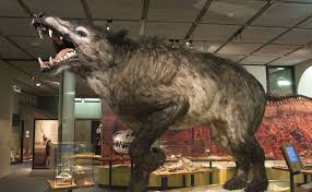 NESLİ TÜKENDİĞİ İÇİN ŞANSLI OLDUĞUMUZ 10 HAYVAN by Miray - Ourboox.com