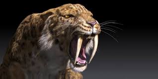 NESLİ TÜKENDİĞİ İÇİN ŞANSLI OLDUĞUMUZ 10 HAYVAN by Miray - Ourboox.com