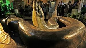 titanoboa yılan maketi