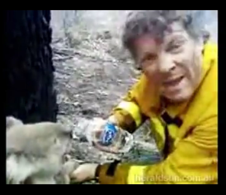 All abuot me-orian by orian dahan - Ourboox.com