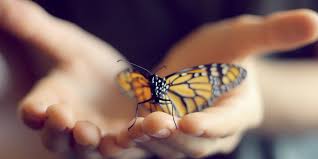 خَـدّي كَالـوَرد by alaa - Ourboox.com