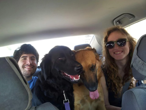 CJ the Wonder Dog by Shani Wahrman - Ourboox.com