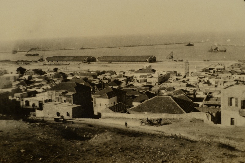 תמר חלוץ סיפור עליה של עמליה ברגר by hovav - Ourboox.com