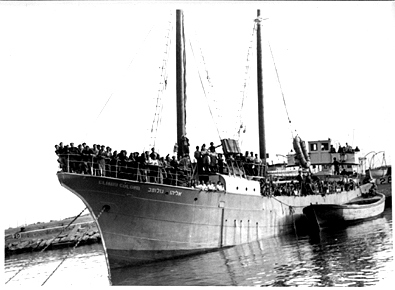 תמר חלוץ סיפור עליה של עמליה ברגר by hovav - Ourboox.com