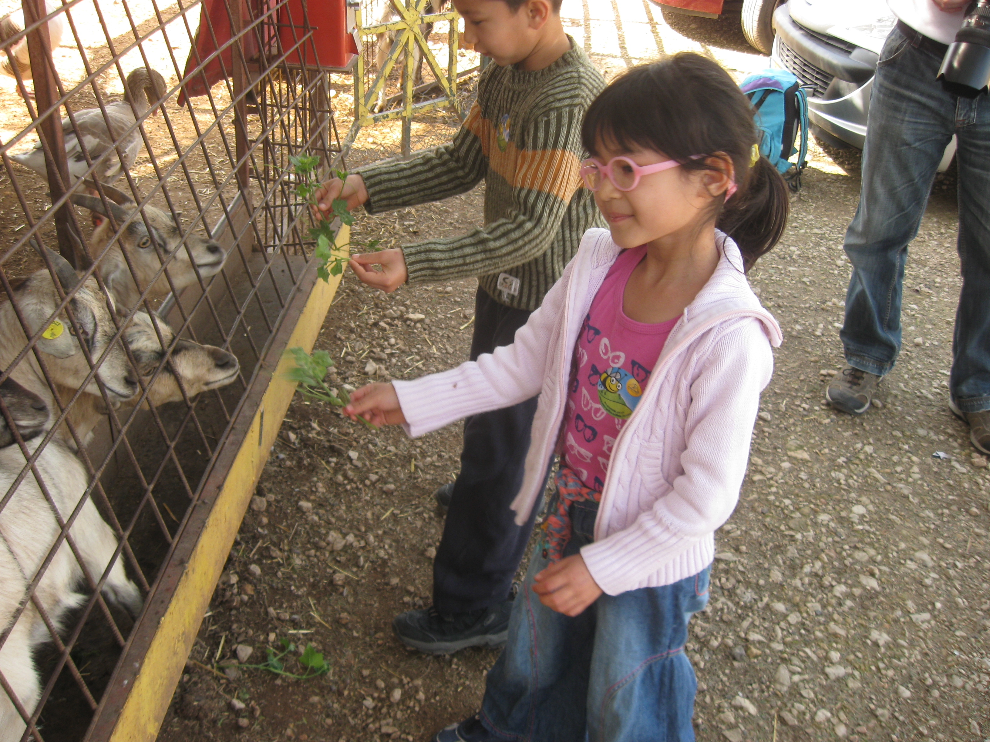 טליה דודים וחברים by yavnieli school - Ourboox.com
