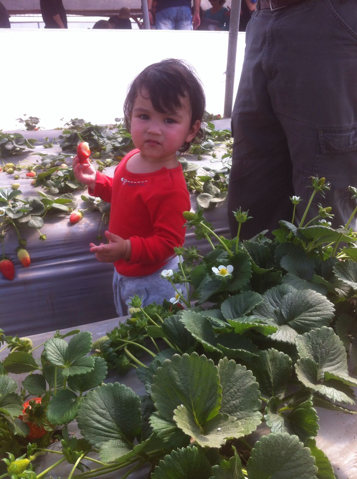 טליה דודים וחברים by yavnieli school - Ourboox.com