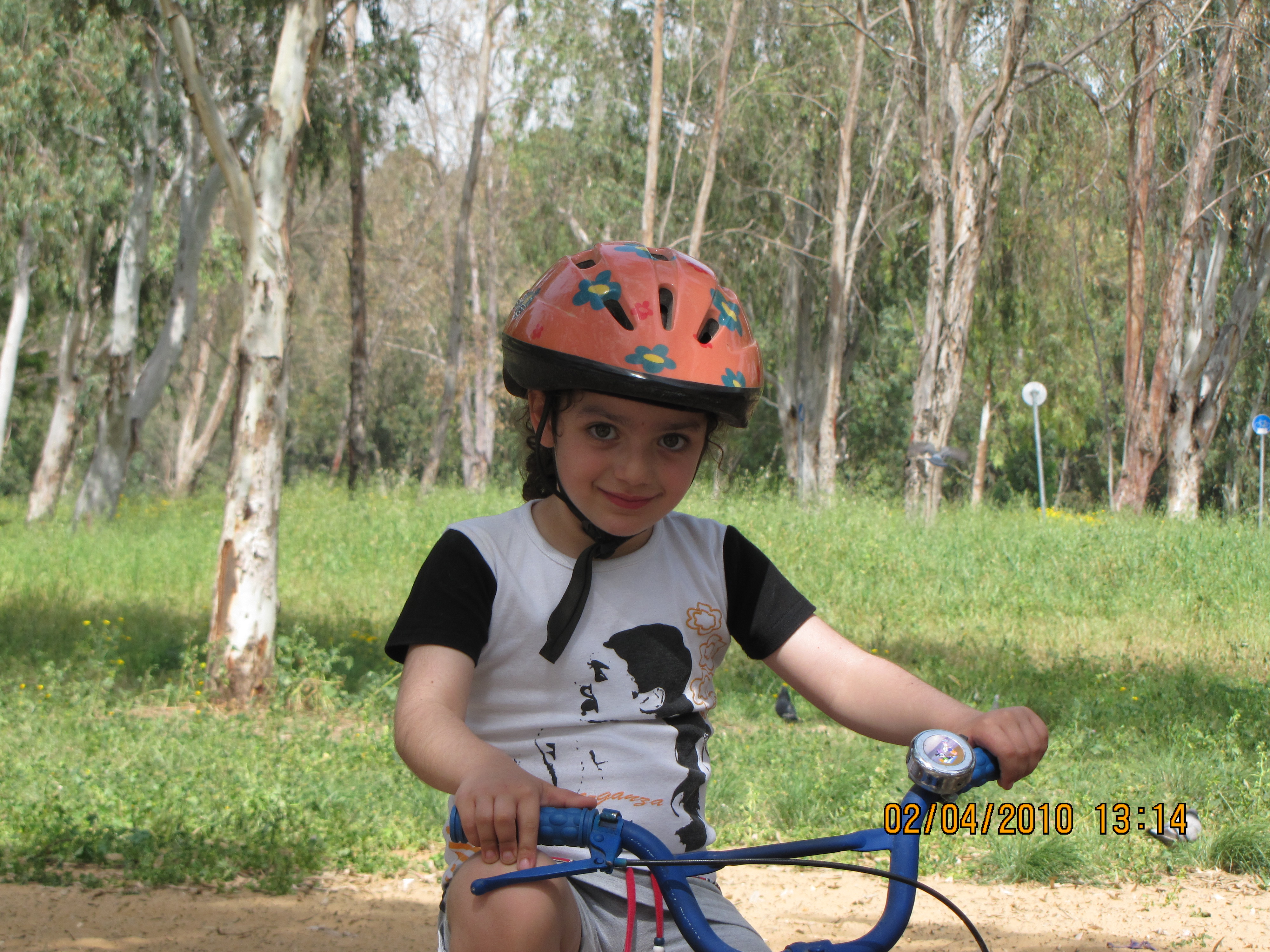 MY BOOK by ofri shaked - Illustrated by ofri shaked - Ourboox.com