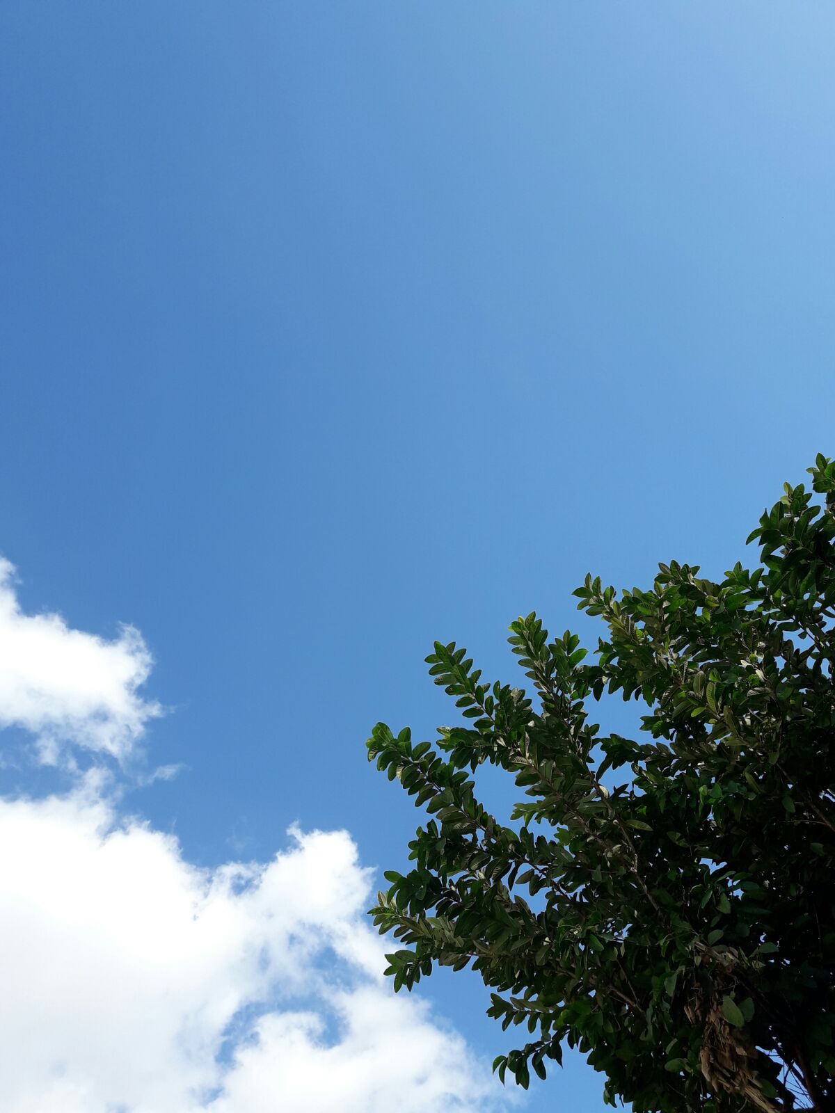 ביום השני: ברא את הרקיע\שמים