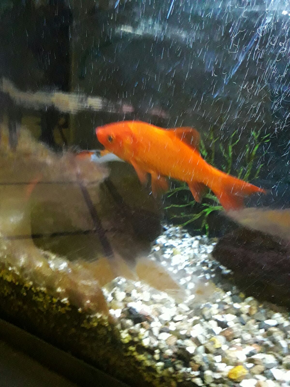 בריאת העולם by yuval - Ourboox.com