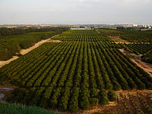 סיפור עליה של סבא יקב רון by hovav - Ourboox.com