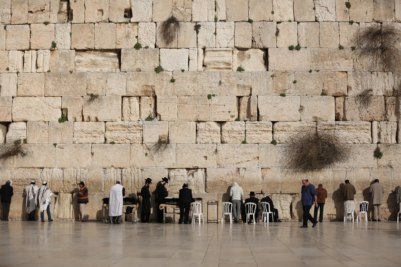 נופים בארץ ישראל by hodayaohana - Illustrated by הודיה  - Ourboox.com