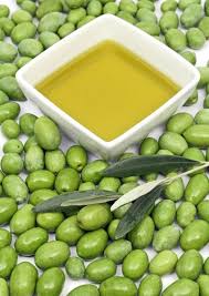 ט”ו בשבט- ארץ חיטה ושעורה. by shurnkry - Illustrated by שירה אנקרי - Ourboox.com