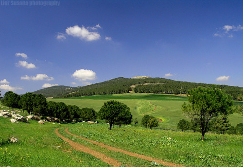 נופים בארץ ישראל by hodayaohana - Illustrated by הודיה  - Ourboox.com