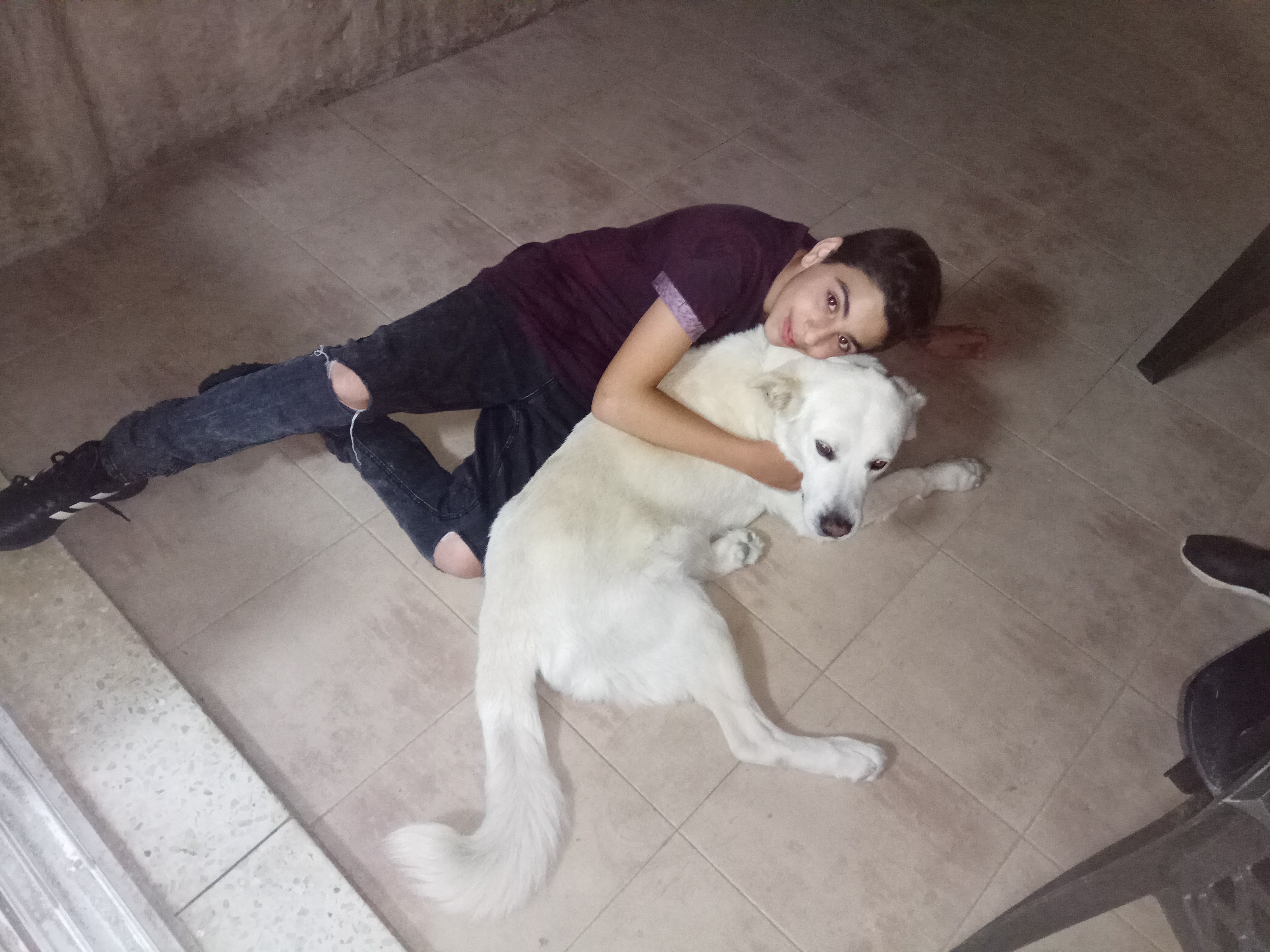 my book by:maor shapira by maor shpira - Ourboox.com