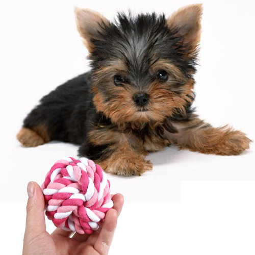 הכלב שאבד by shirel - Illustrated by שיראל חבושה - Ourboox.com